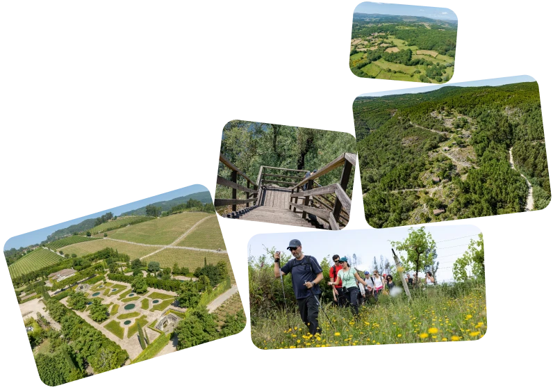 Ilustrações sobre natureza