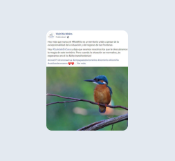 Campanhas Publicitárias Visit Rio Minho