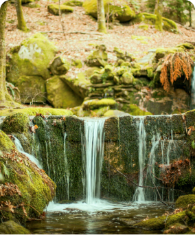 Parque Natural do Monte Aloia