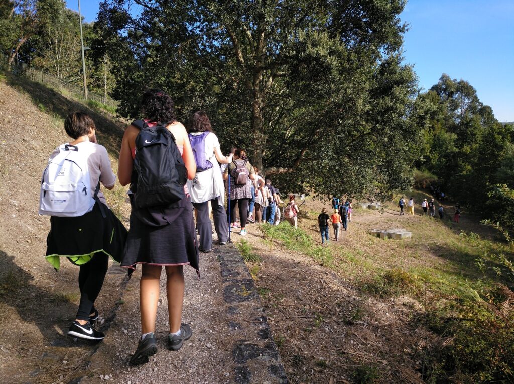 Programa Vive o Minho